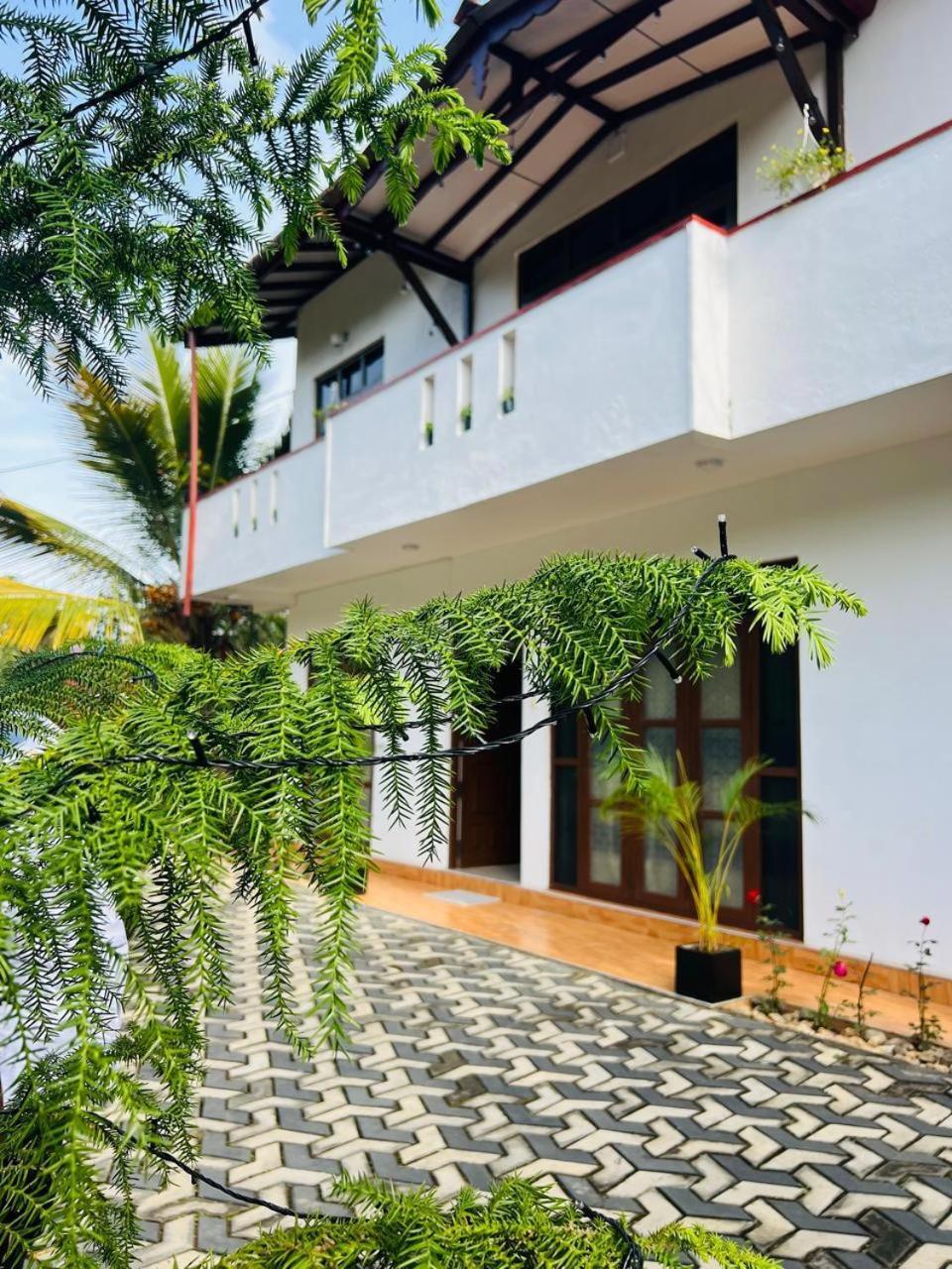 Montes Ella住宿加早餐旅馆 外观 照片