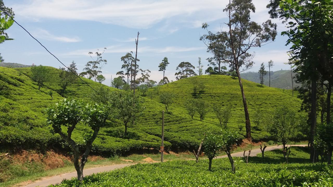 Montes Ella住宿加早餐旅馆 外观 照片